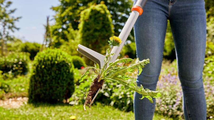 Houd uw aanbod onkruidverdeling relevant tijdens elk seizoen