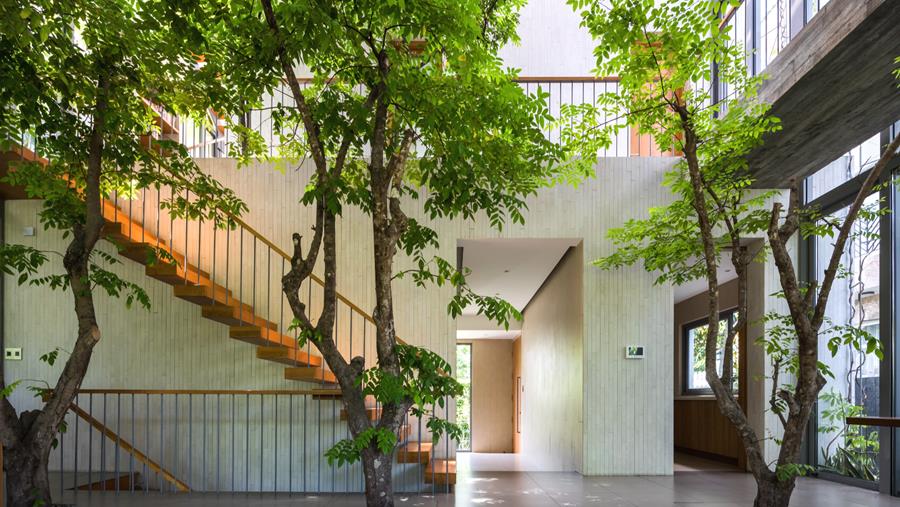 Dossier architecture biophilique