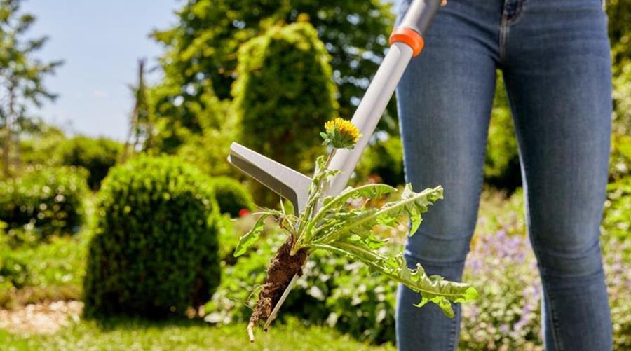 Maintenez la pertinence de votre offre de désherbage à chaque saison