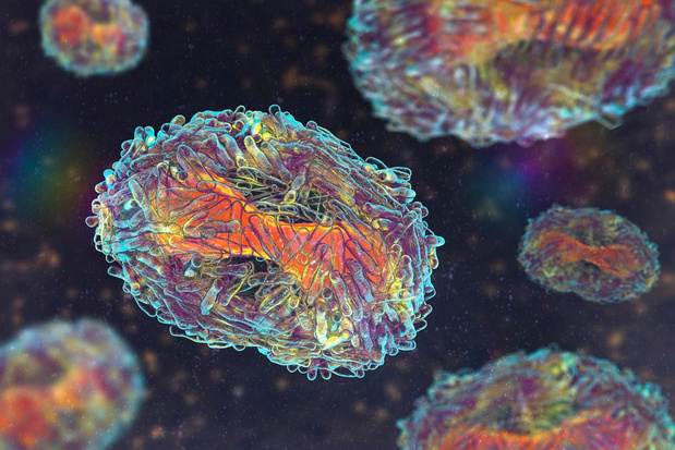Une première infection par le nouveau variant du virus mpox détectée en Belgique