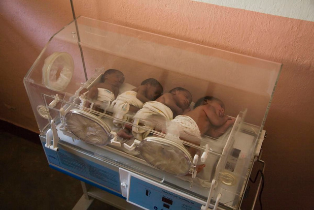 Fait rare : une mère donne naissance à des quadruplés en Allemagne