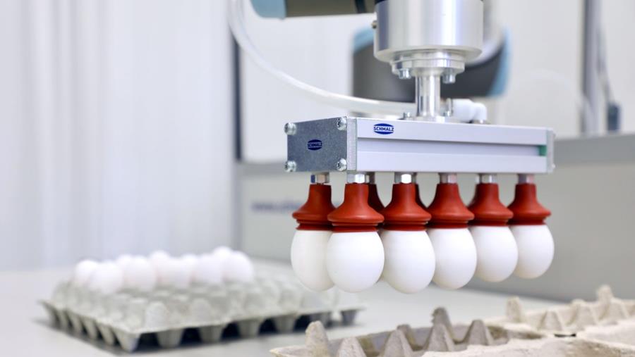 Vacuümtechnologie in de voedingsindustrie: de vacuümgrijper